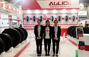 Offline Exhibition_Hubei Jintian Tyre Co., Ltd.